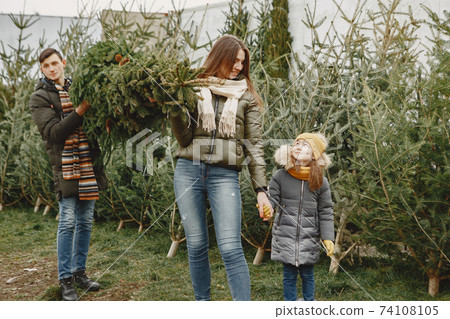 Family choosing a christmas tree 74108105