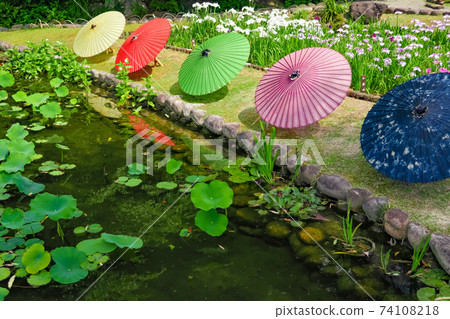 Tokugawaen, irises and Japanese umbrella <Nagoya City, Aichi Prefecture> Tokugawaen, irises and Japanese umbrella <Nagoya City, Aichi Prefecture> 74108218