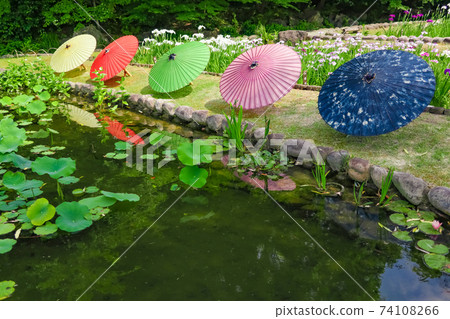 德川園,鳶尾花和日本雨傘<愛知縣名古屋市> 德川園,鳶尾花和日本雨傘<愛知縣名古屋市> 74108266