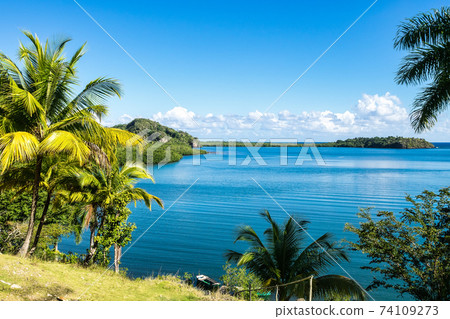 Alejandro de Humboldt National Park near Baracoa, Cuba 74109273