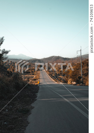 Roads and trees fall in summer evenings Roads and trees fall in summer evenings 74109653