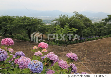 臨濟宗妙心寺學校：29歲的有谷山雄治寺（岐阜縣I美郡池田町：池田山西麓） 74109730
