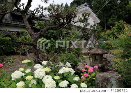 臨濟宗妙心寺學校:有田山雄治寺38歲(岐阜縣宜比市池田町:池田山西麓) 臨濟宗妙心寺學校:有田山雄治寺38歲(岐阜縣宜比市池田町:池田山西麓) 74109751