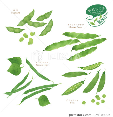 青豆/拼盤/手繪風格插畫 74109996