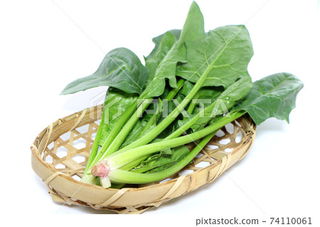 新鮮菠菜 74110061