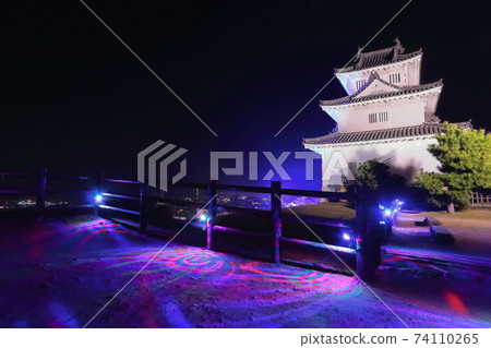 [Kagawa Prefecture] Night view of Marugame Castle (lighted up) 74110265
