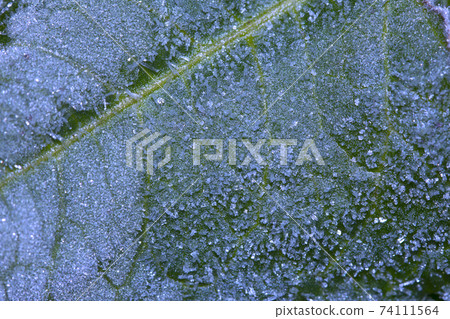 Ice crystal Ice crystal 74111564