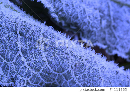 Ice crystal Ice crystal 74111565