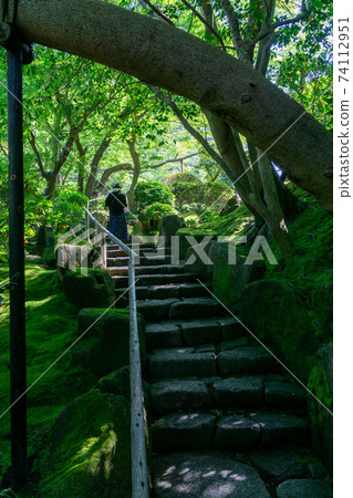 Hokokuji Temple in Kamakura where you can enjoy fantastic bamboo grove and delicious matcha Hokokuji Temple in Kamakura where you can enjoy fantastic bamboo grove and delicious matcha 74112951