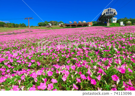 Hiruga的野餐花園,風景優美的高地度假勝地<岐阜縣坤城市> Hiruga的野餐花園,風景優美的高地度假勝地<岐阜縣坤城市> 74113096