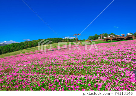 Hiruga的野餐花園，風景優美的高地度假勝地<岐阜縣坤城市> 74113146