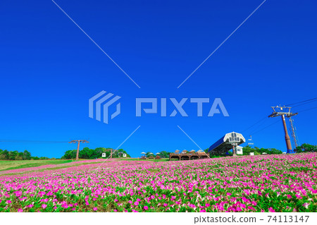 Hiruga的野餐花園,風景優美的高地度假勝地<岐阜縣坤城市> Hiruga的野餐花園,風景優美的高地度假勝地<岐阜縣坤城市> 74113147