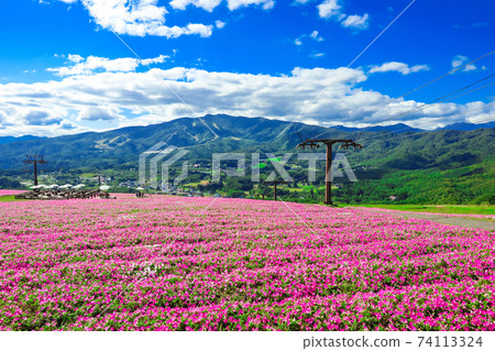 Hiruga's Picnic Garden, a highland resort with a superb view <Gujo City, Gifu Prefecture> Hiruga's Picnic Garden, a highland resort with a superb view <Gujo City, Gifu Prefecture> 74113324