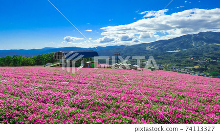 Hiruga's Picnic Garden, a highland resort with a superb view <Gujo City, Gifu Prefecture> Hiruga's Picnic Garden, a highland resort with a superb view <Gujo City, Gifu Prefecture> 74113327