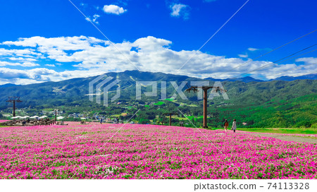 Hiruga's Picnic Garden, a highland resort with a superb view <Gujo City, Gifu Prefecture> 74113328
