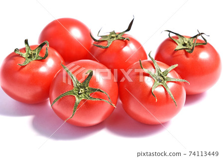 水果番茄 74113449