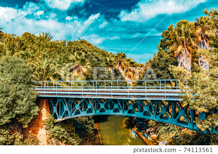 Beautiful landscape of humid tropical jungle. 74113561