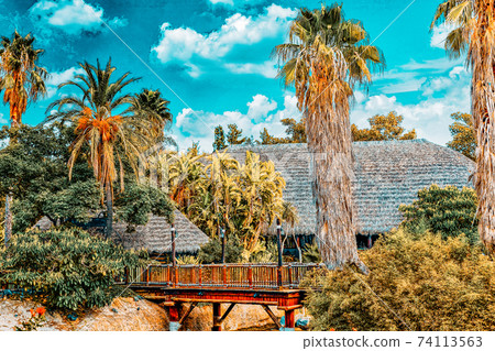 Beautiful landscape of humid tropical jungle. 74113563