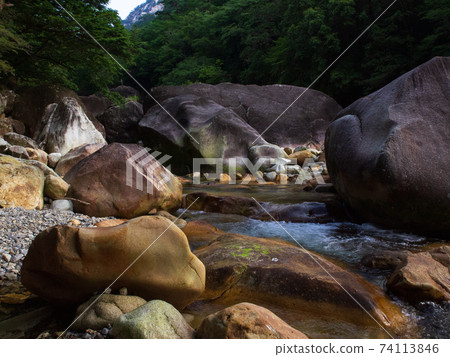 Climbing Mt. Okue, the last unexplored region in Kyushu, Miyazaki Prefecture 74113846
