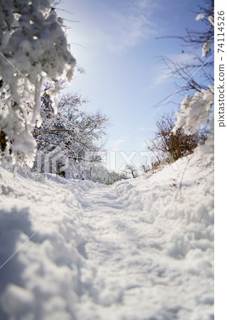Scenery of the mountain trail of Oyama (Ayoriyama) surrounded by snow Scenery of the mountain trail of Oyama (Ayoriyama) surrounded by snow 74114526