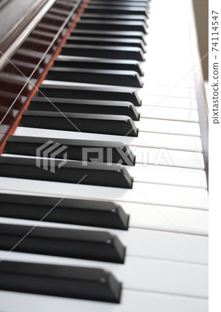 Piano keys seen from the side Piano keys seen from the side 74114547