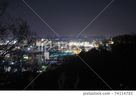 To木縣足利市足利市夜景/織姬公園 74114783