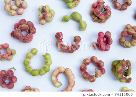 Manila tamarind fruit isolated on white background Manila tamarind fruit isolated on white background 74115066