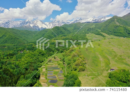 Koiike plateau in early summer 74115480