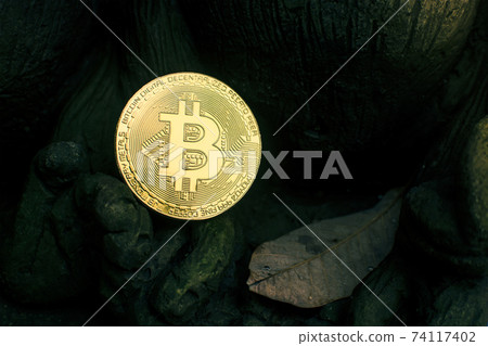 Golden bitcoin placed on the rock with dry leaf Golden bitcoin placed on the rock with dry leaf 74117402