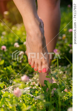 female slim legs on green grass 74117937