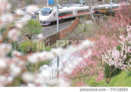 Plum blossoms and limited express train in Mito Kairakuen 74118084