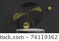 Gold monstera leaves and product stand minimal scene. 3D Illustration. Front view. Abstract geometry black key lighting. 74119362