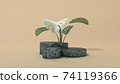 Abstract minimal scene circle podiums with monstera leaves. 3D Illustration. Front view. Marble cylinders isolated on background. 74119366