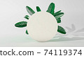 Cirle frame product stand with falling leaves. 3D Illustration. Front view. Marble cylinder stand isolated on background. Abstract minimal scene 74119374