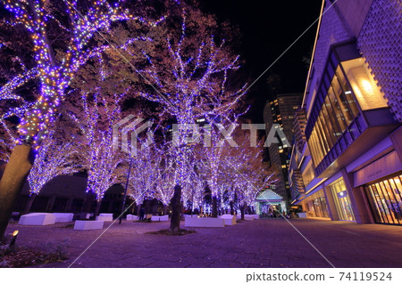 Yokohama Minatomirai Illuminations Yokohama Minatomirai Illuminations 74119524