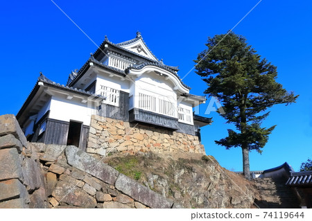 [岡山縣]民初松山城 74119644