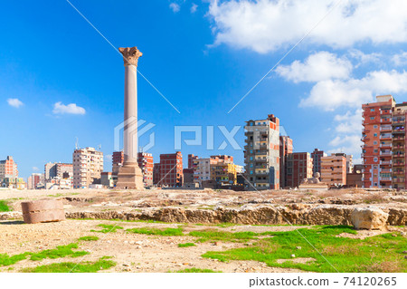 Alexandria, Egypt. Cityscape with Pompeys Pillar Alexandria, Egypt. Cityscape with Pompeys Pillar 74120265
