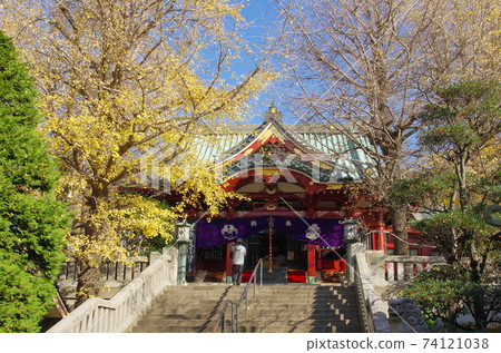 Autumn Matsuchiyama Shoten (Honryuin) [Asakusa, Taito-ku, Tokyo] 74121038