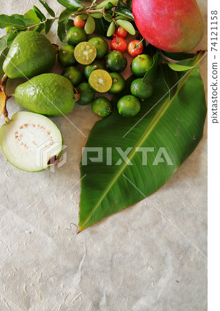 Okinawa's natural tropical fruit collective image Okinawa's natural tropical fruit collective image 74121158