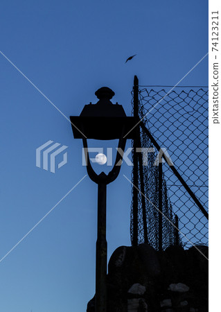 Moon inside a street lamp. Moon inside a street lamp. 74123211