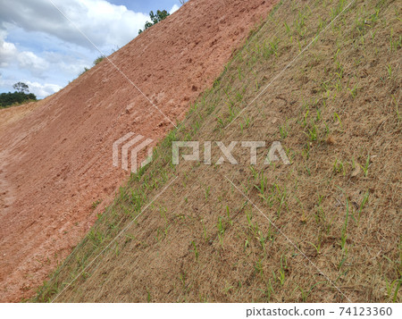 Permanent slope protection using the close turfing method to prevent erosion. The selected type of grass used for the method. The grass also stabilizes the slope structure. 74123360