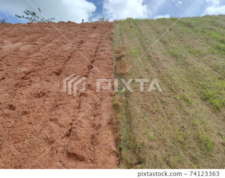 Permanent slope protection using the close turfing method to prevent erosion. The selected type of grass used for the method. The grass also stabilizes the slope structure. Permanent slope protection using the close turfing method to prevent erosion. The selected type of grass used for the method. The grass also stabilizes the slope structure. 74123363