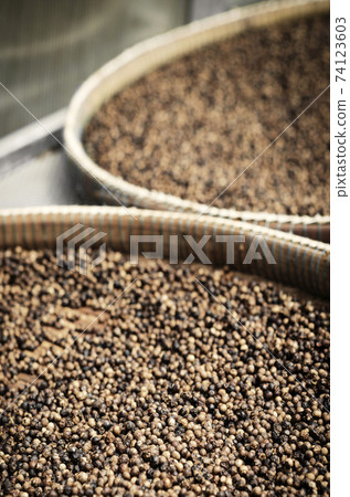 trays of kampot organic pepper in drying room in cambodia 74123603