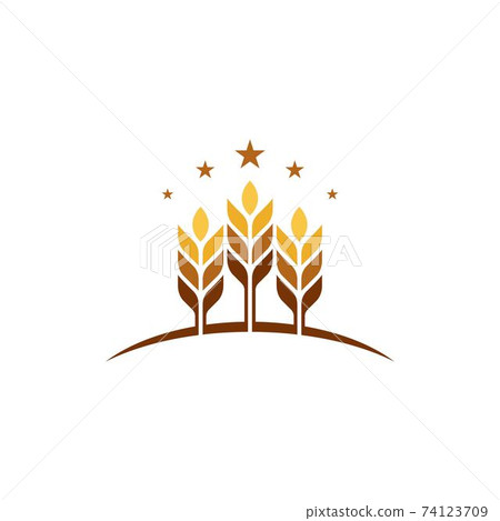 Agriculture wheat vector Agriculture wheat vector 74123709