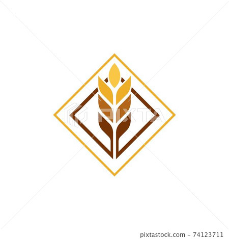 Agriculture wheat vector Agriculture wheat vector 74123711