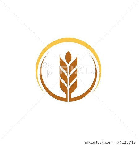 Agriculture wheat vector Agriculture wheat vector 74123712