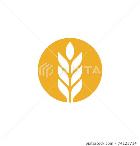 Agriculture wheat vector Agriculture wheat vector 74123714