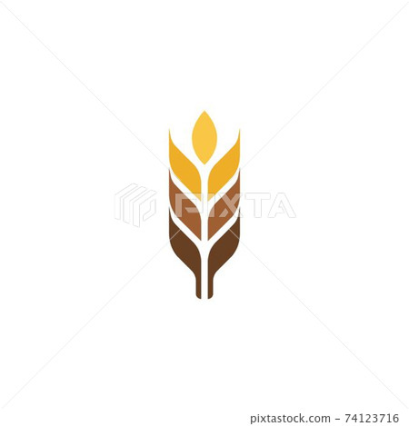 Agriculture wheat vector Agriculture wheat vector 74123716