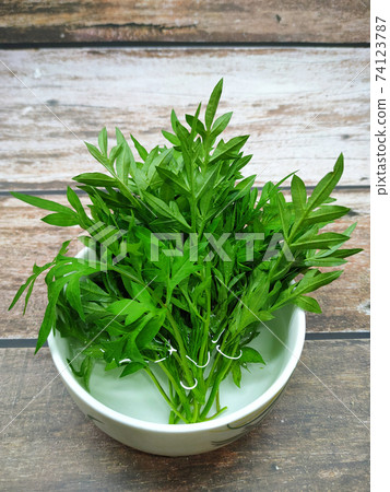 Cosmos caudatus leaves that have been cut and soaked in a bowl of water. It is to maintain the freshness of the leaves before eating. Cosmos caudatus leaves that have been cut and soaked in a bowl of water. It is to maintain the freshness of the leaves before eating. 74123787