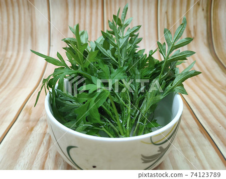 Cosmos caudatus leaves that have been cut and soaked in a bowl of water. It is to maintain the freshness of the leaves before eating. Cosmos caudatus leaves that have been cut and soaked in a bowl of water. It is to maintain the freshness of the leaves before eating. 74123789